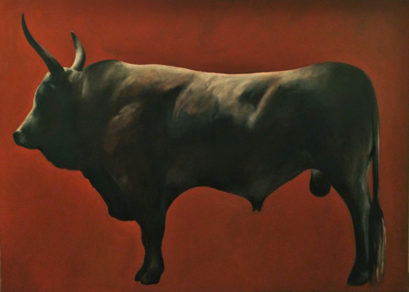Bull of Maremma