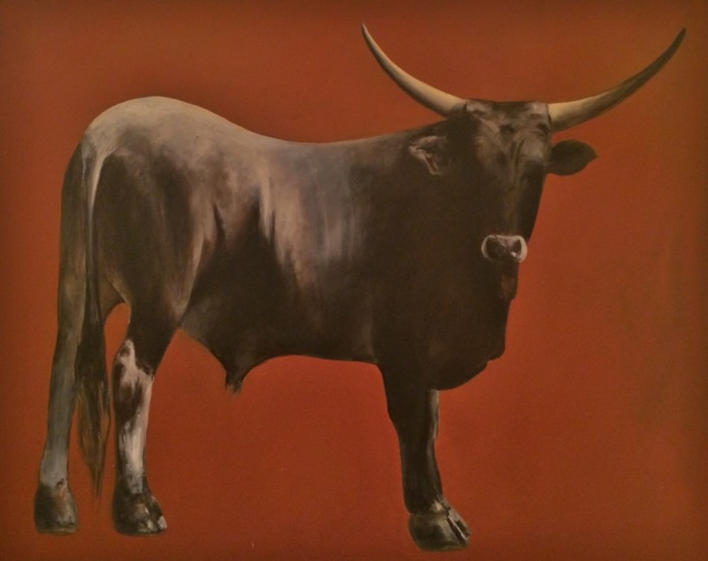 Bull of Maremma